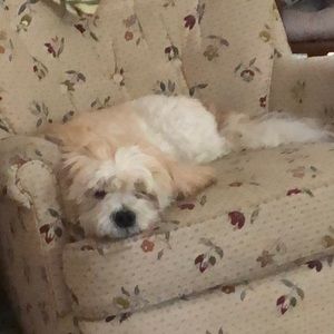 Meet your Posher, Anthony